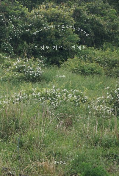 이것도 기르는 거예요