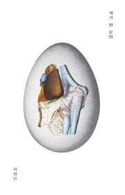 새가 될 운명(양장본 Hardcover)