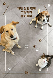 개만 살던 집에 고양이가 들어왔다