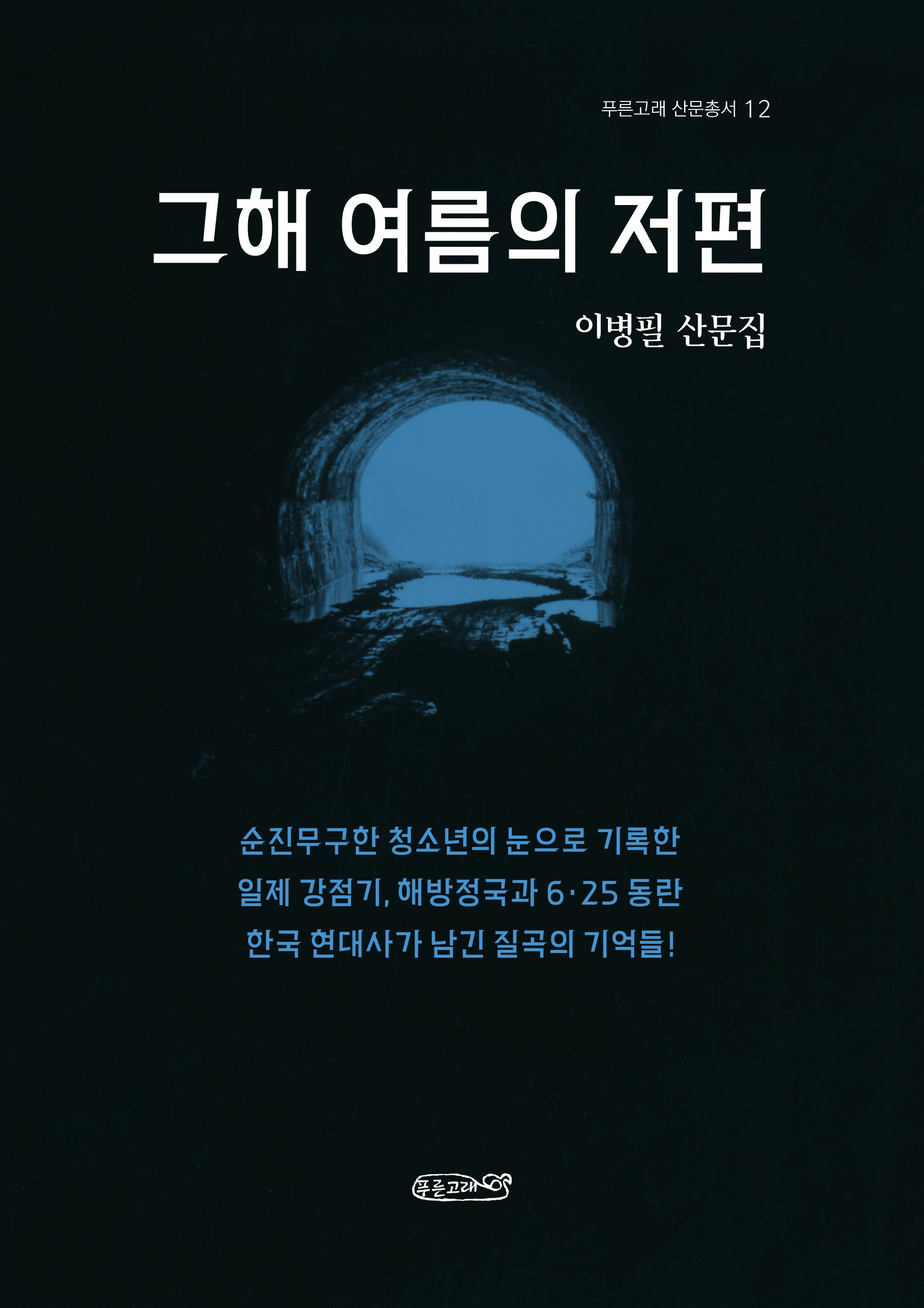 그해 여름의 저편(푸른고래 산문총서 12)