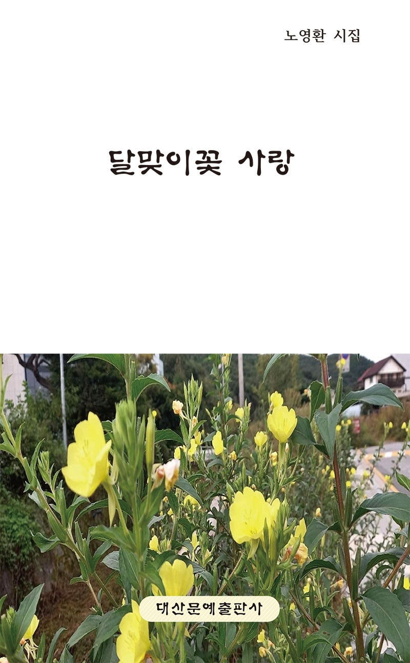달맞이꽃 사랑