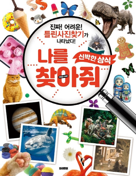 나를 찾아줘 신박한 상식