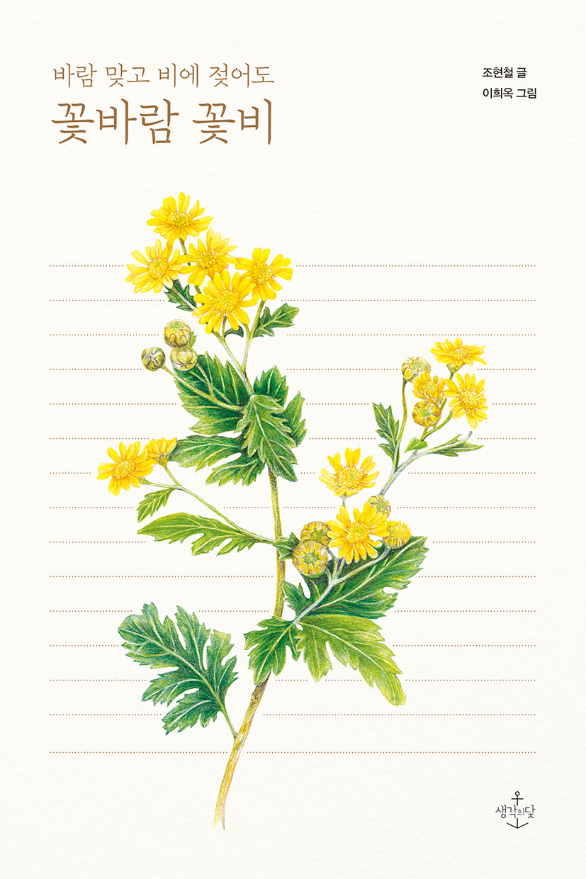꽃바람 꽃비