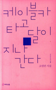 케이블카 타고 달이 지나간다(시인수첩 시인선 46)