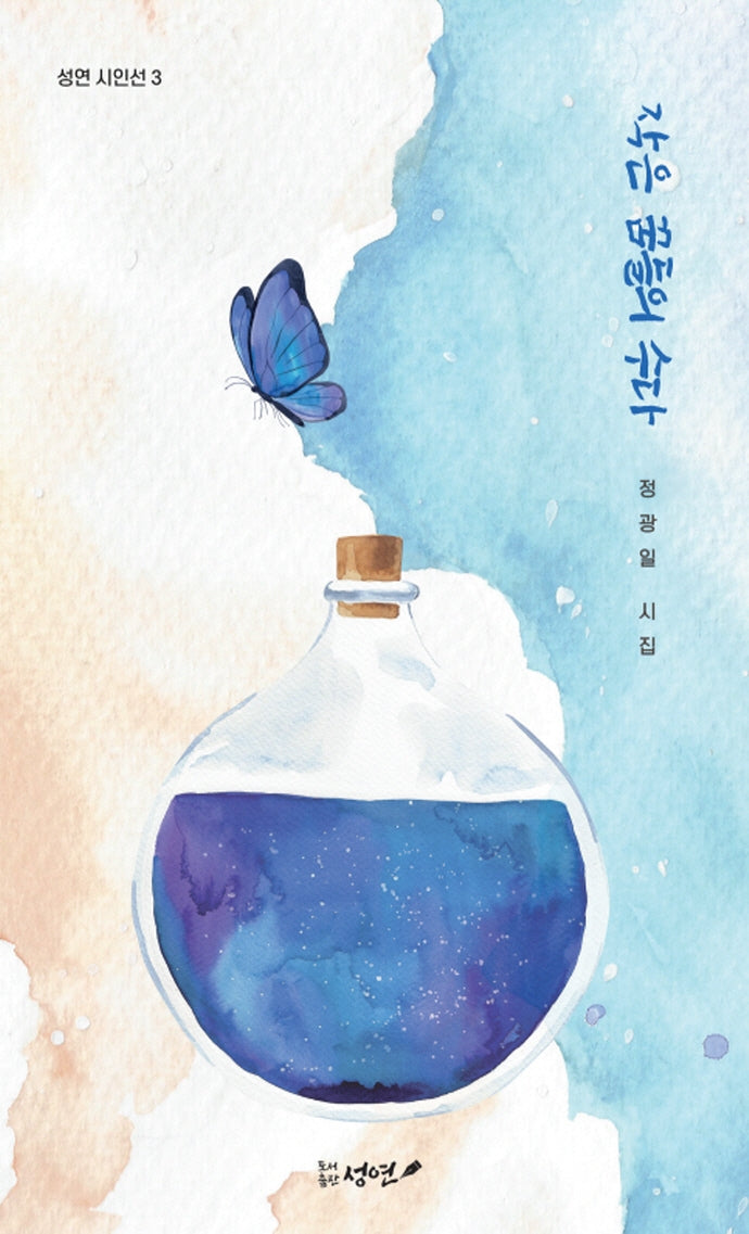 작은 꿈들의 수다(성연 시인선 3)