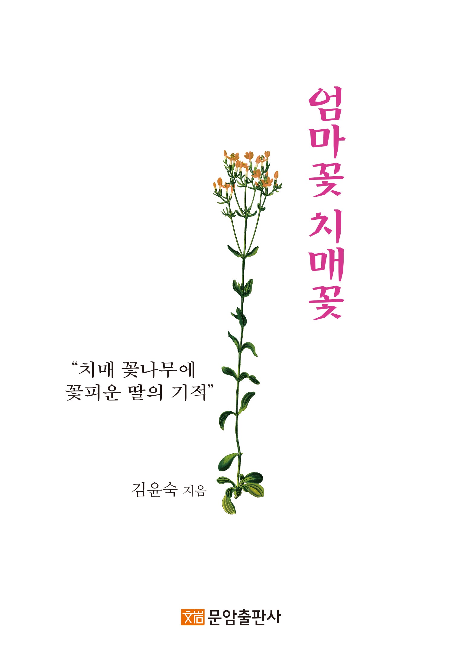 엄마꽃 치매꽃