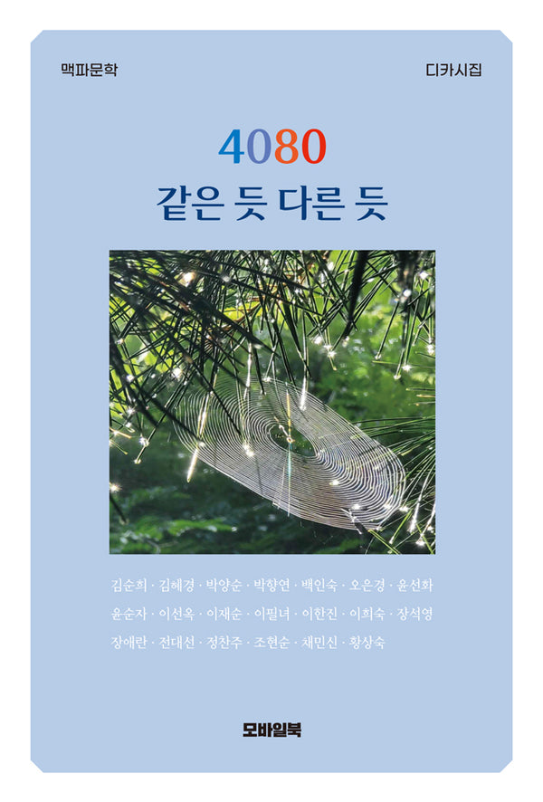 4080 같은 듯 다른 듯(맥파문학 디카시집)