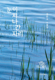 눈이 지나간 자리