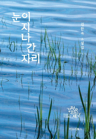 눈이 지나간 자리