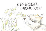 넘헌테는 잡초여도 내헌테는 꽃인게(섬아이 3)(양장본 Hardcover)