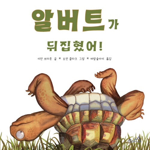 알버트가 뒤집혔어!(양장본 Hardcover)