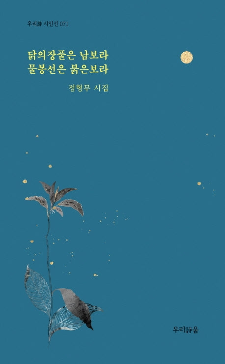 닭의장풀은 남보라 물봉선은 붉은보라(우리시 시인선 71)