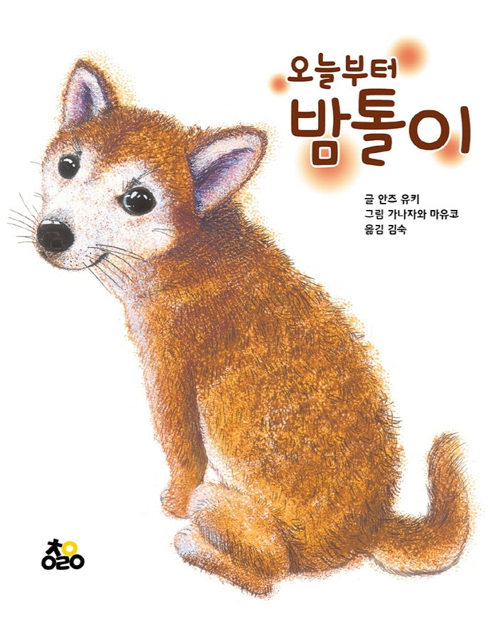 오늘부터 밤톨이(양장본 Hardcover)