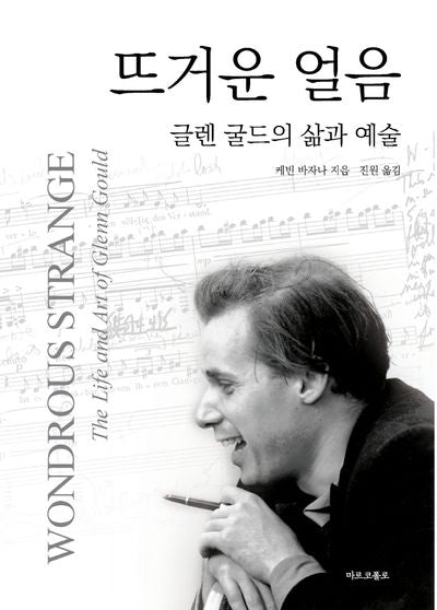 뜨거운 얼음