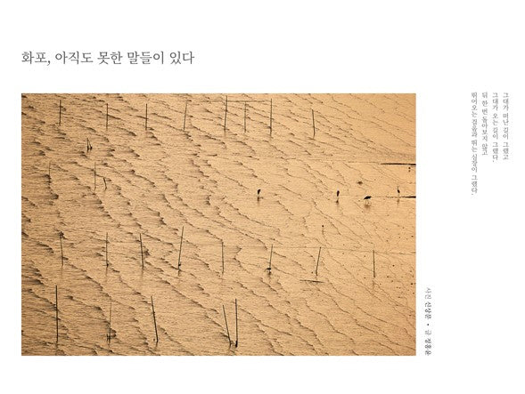 화포, 아직도 못한 말들이 있다