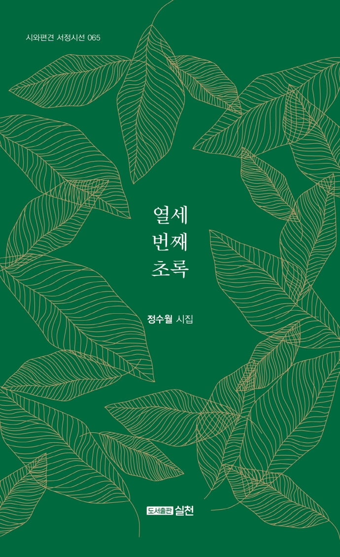 열세 번째 초록(시와편견 서정시선 65)