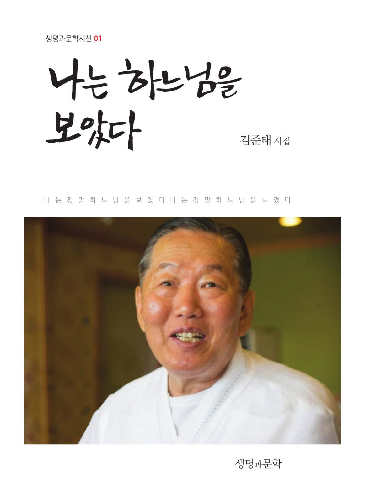 나는 하느님을 보았다(생명과문학시선 1)