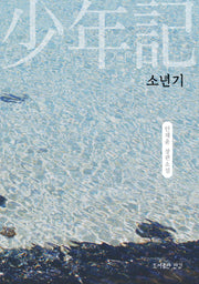 소년기(개정판)