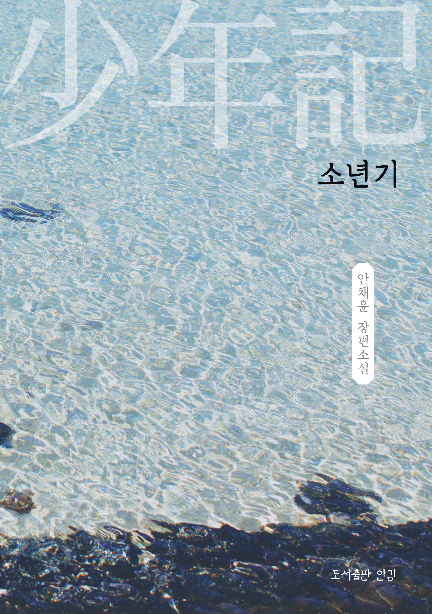 소년기(개정판)