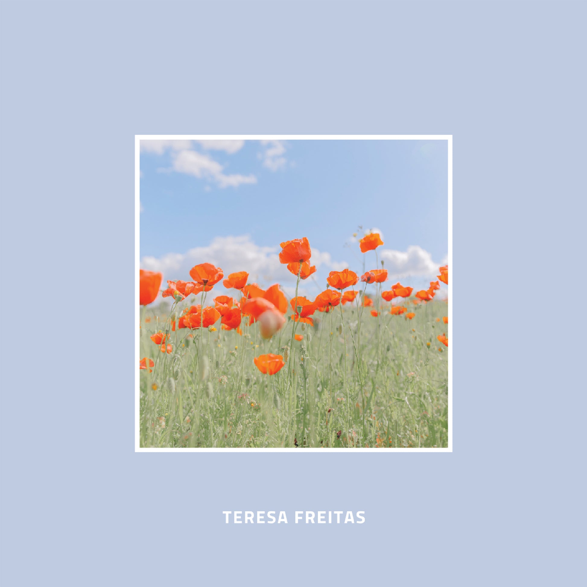 테레사 프레이타스 사진전 Springtime Delight