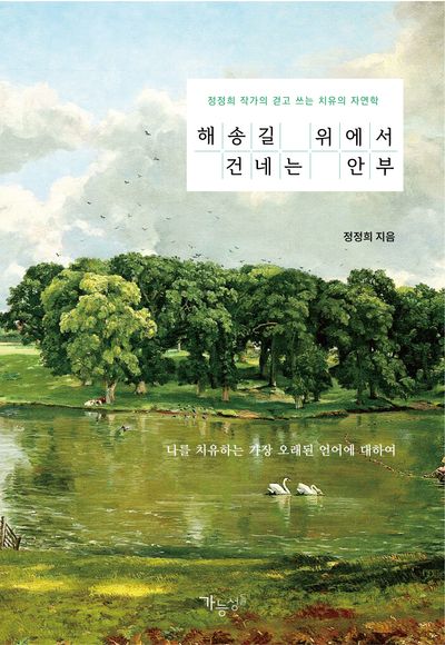 해송길 위에서 건네는 안부