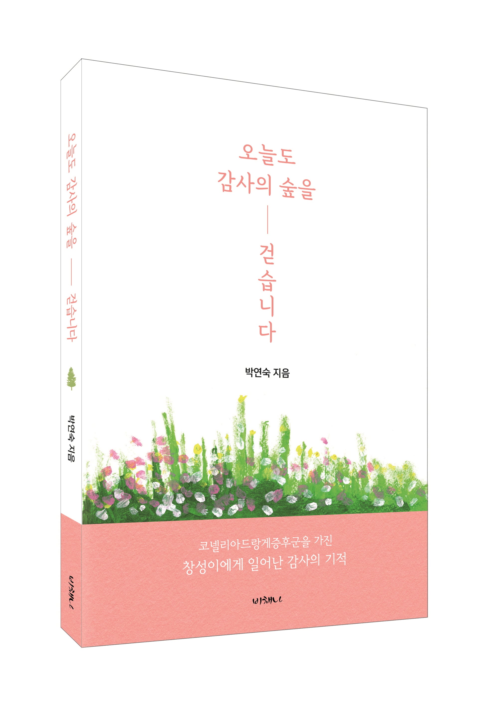 오늘도 감사의 숲을 걷습니다