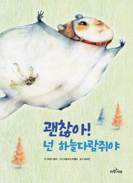 괜찮아! 넌 하늘다람쥐야(파랑 그림책 1)(양장본 Hardcover)