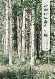 자작나무숲의 노래