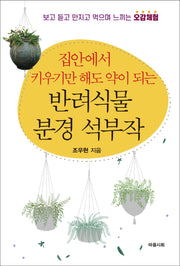 집안에서 키우기만 해도 약이 되는 반려식물 분경 석부작