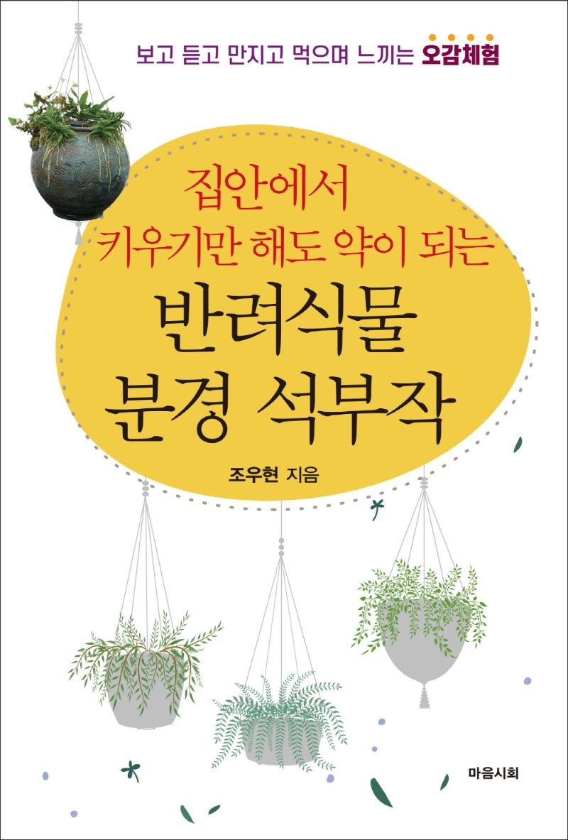 집안에서 키우기만 해도 약이 되는 반려식물 분경 석부작
