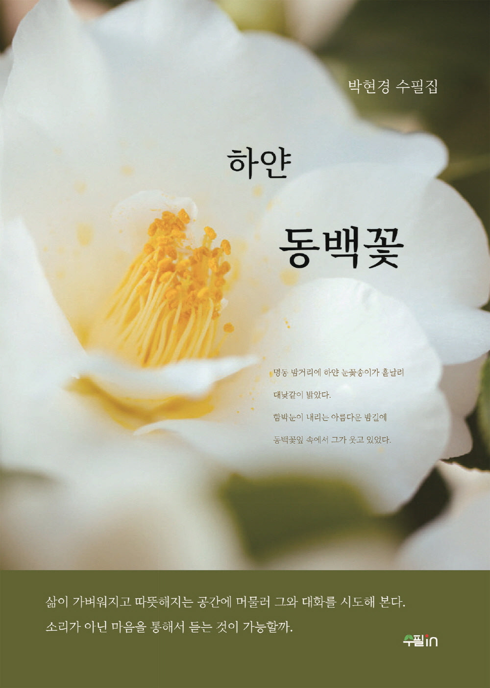 하얀 동백꽃