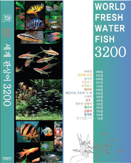 세계 관상어 3200