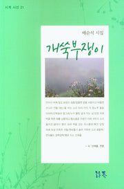 개쑥부쟁이(시계 시선 21)