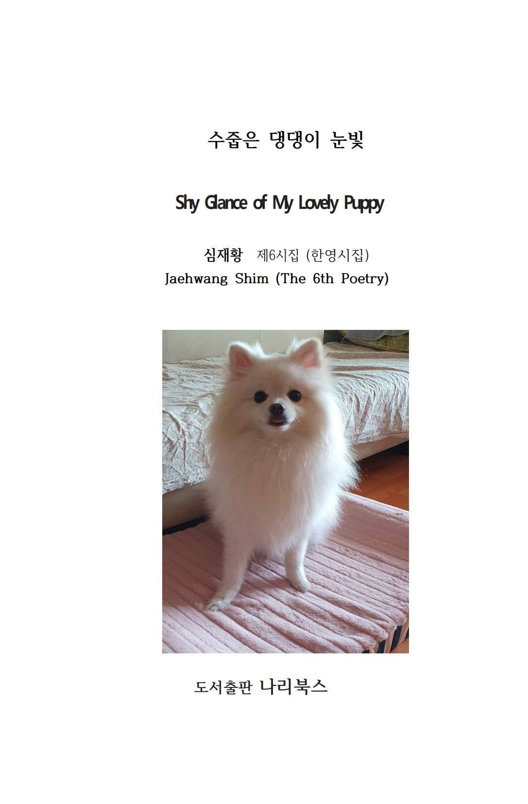 수줍은 댕댕이 눈빛