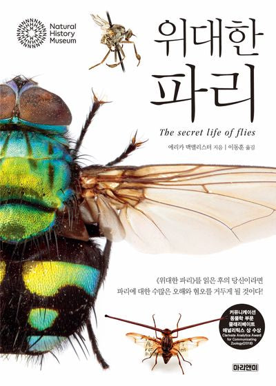 위대한 파리