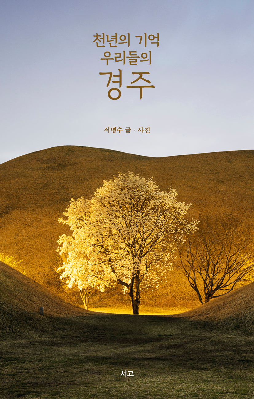 천년의 기억 우리들의 경주