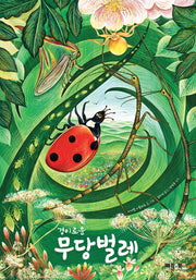 경이로운 무당벌레(양장본 Hardcover)