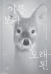 이름보다 오래된