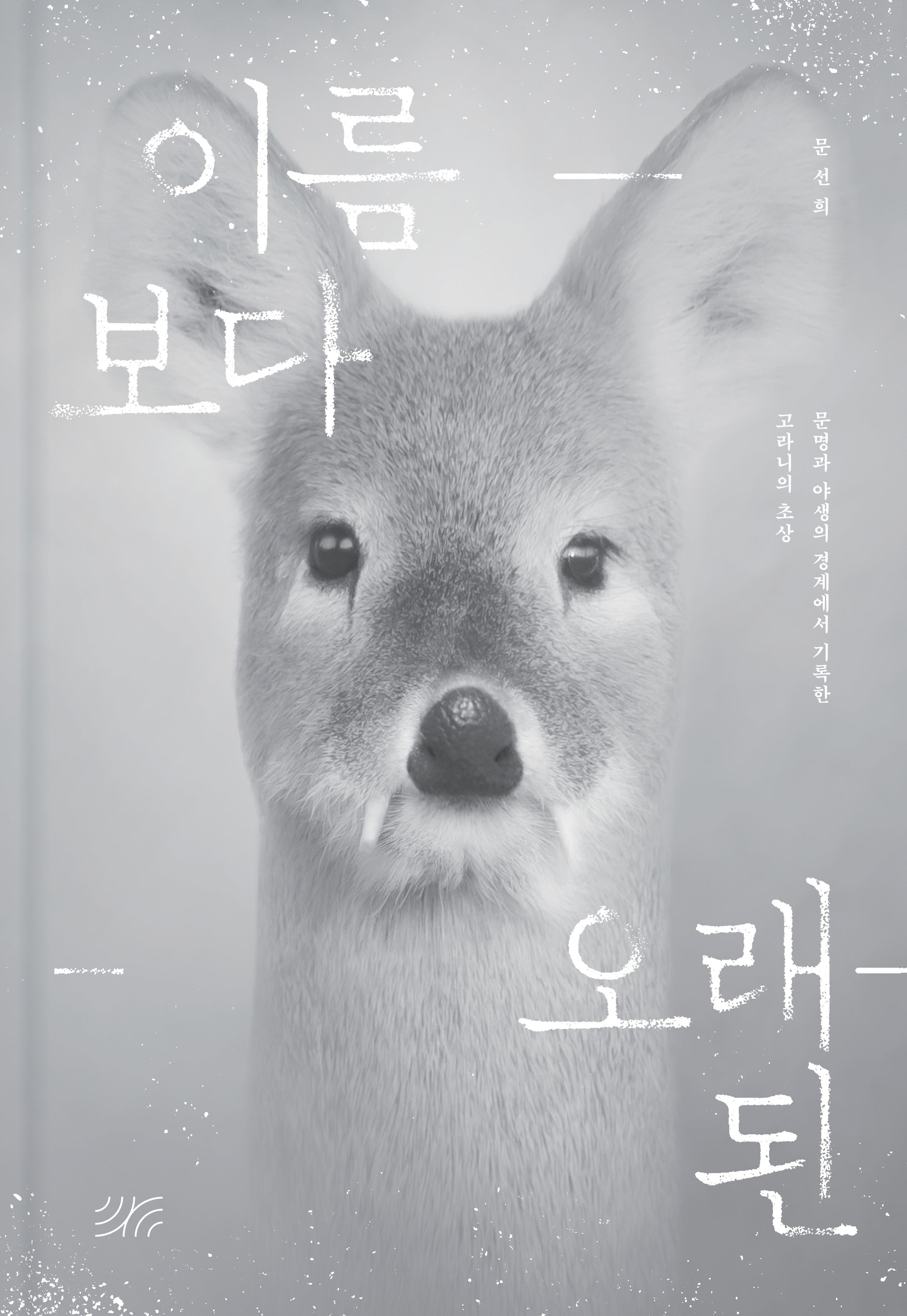 이름보다 오래된