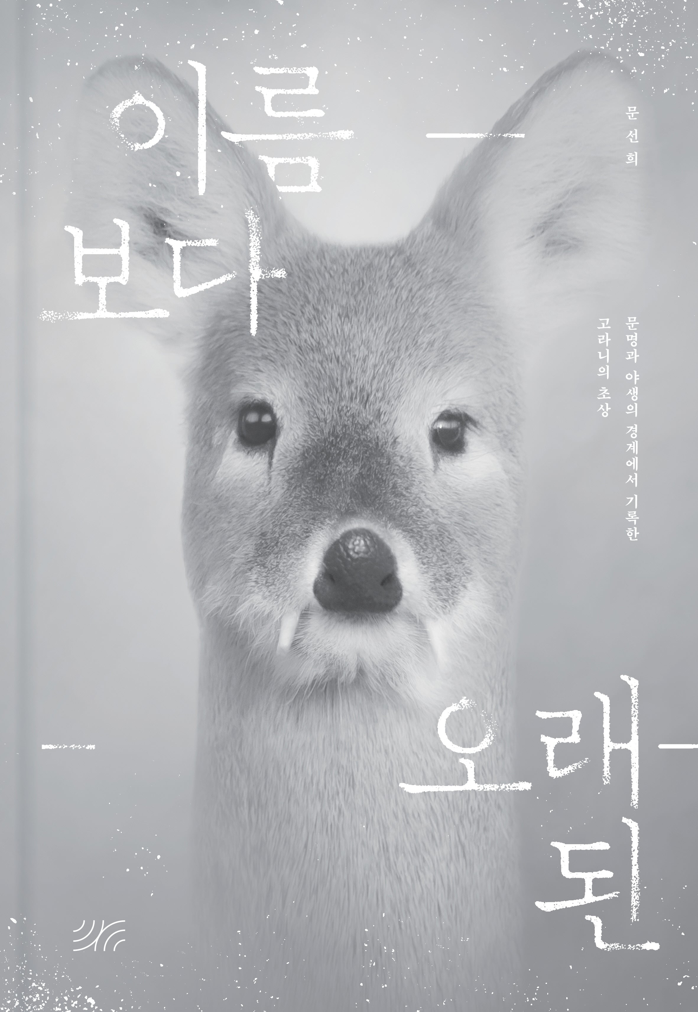 이름보다 오래된