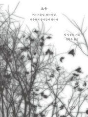 조응