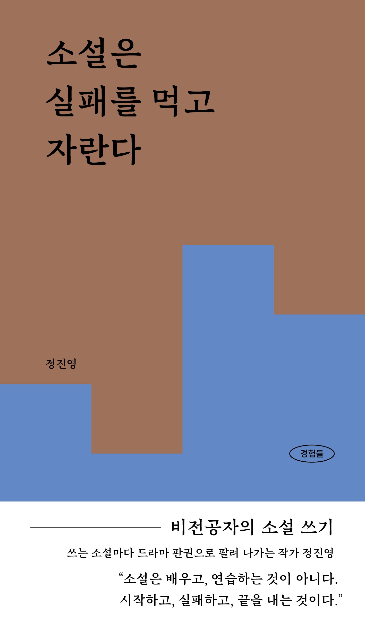 소설은 실패를 먹고 자란다(경험들 시리즈 4)