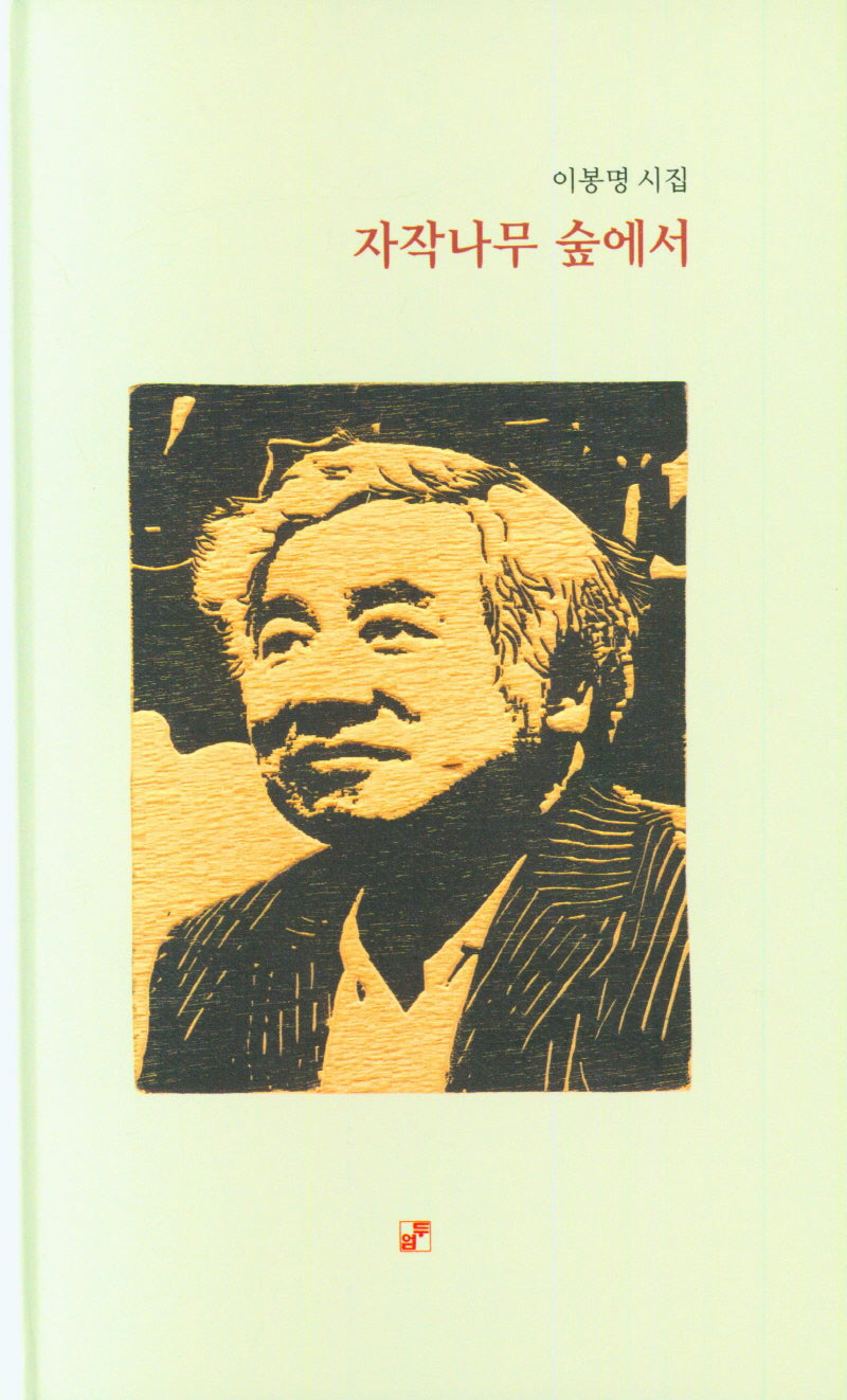 자작나무 숲에서(양장본 Hardcover)