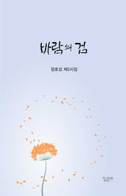 바람의 검