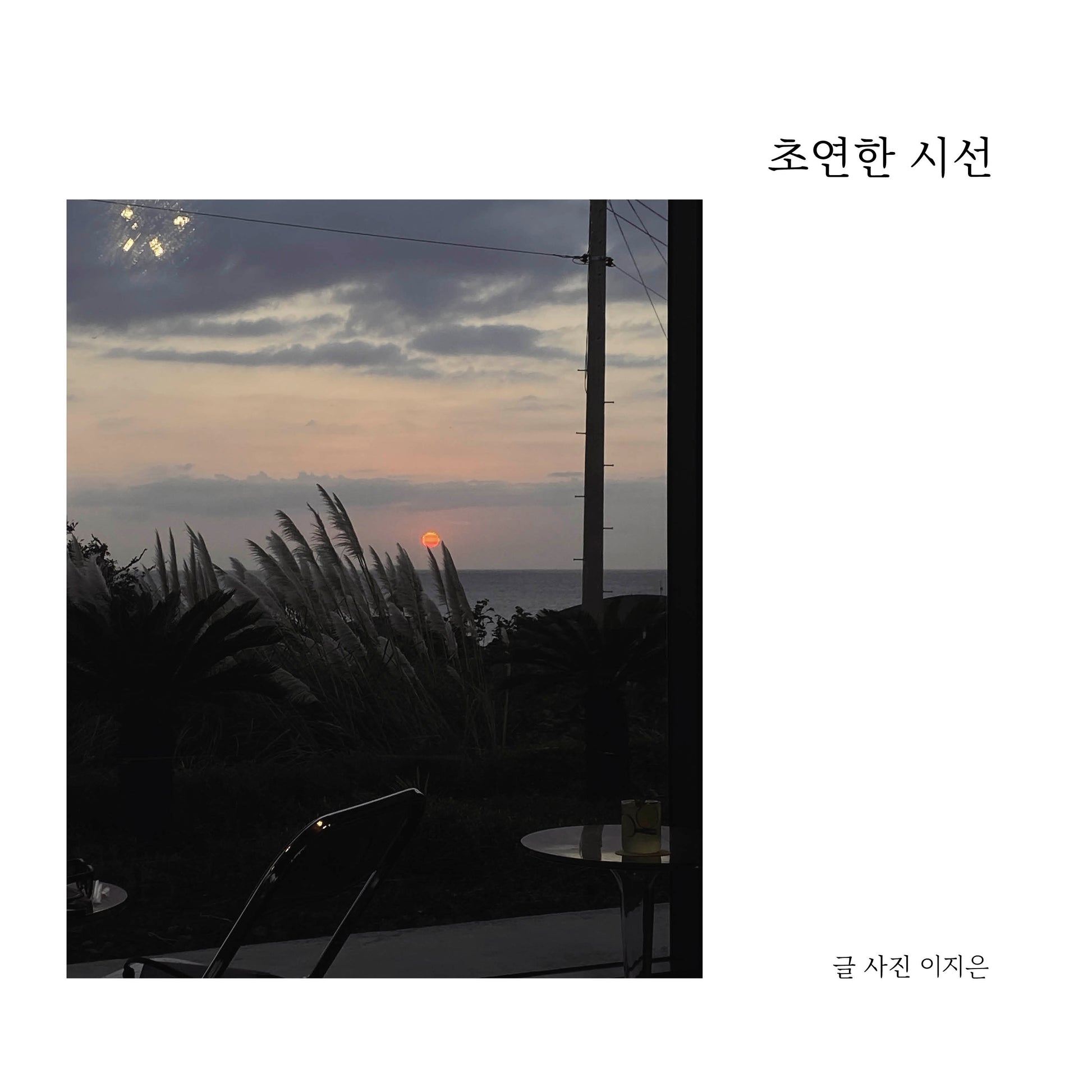 초연한 시선