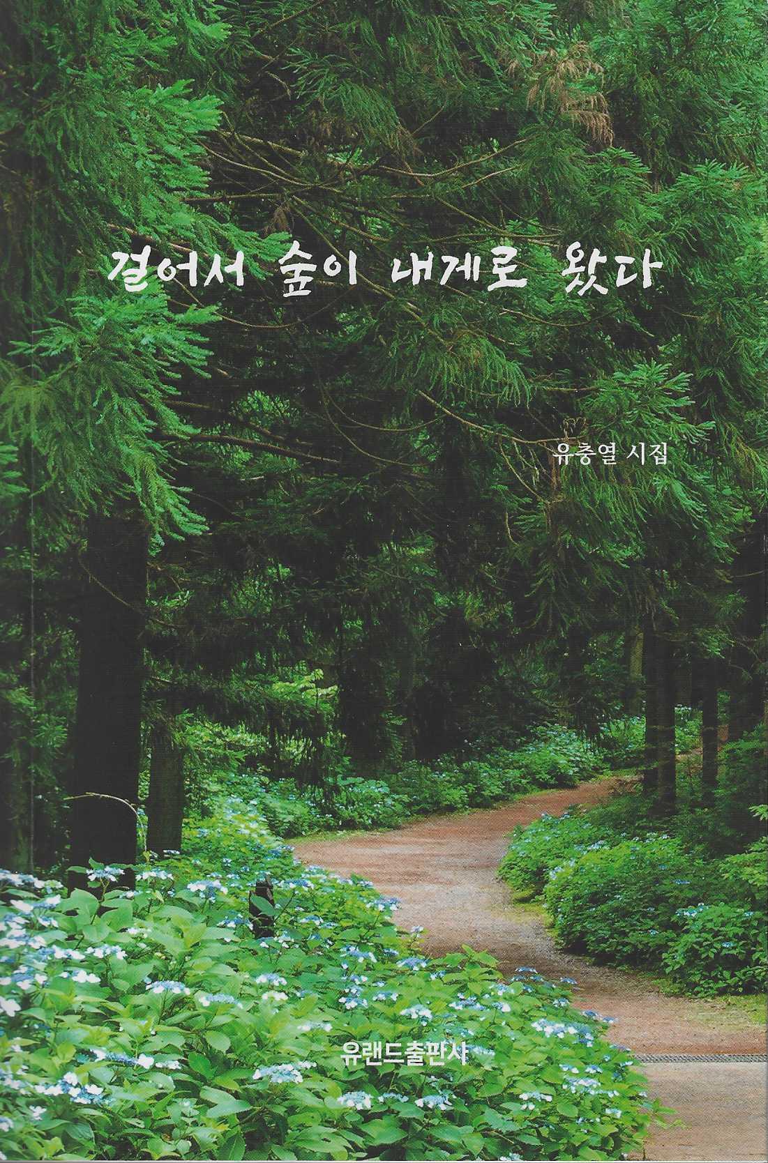 걸어서 숲이 내게로 왔다
