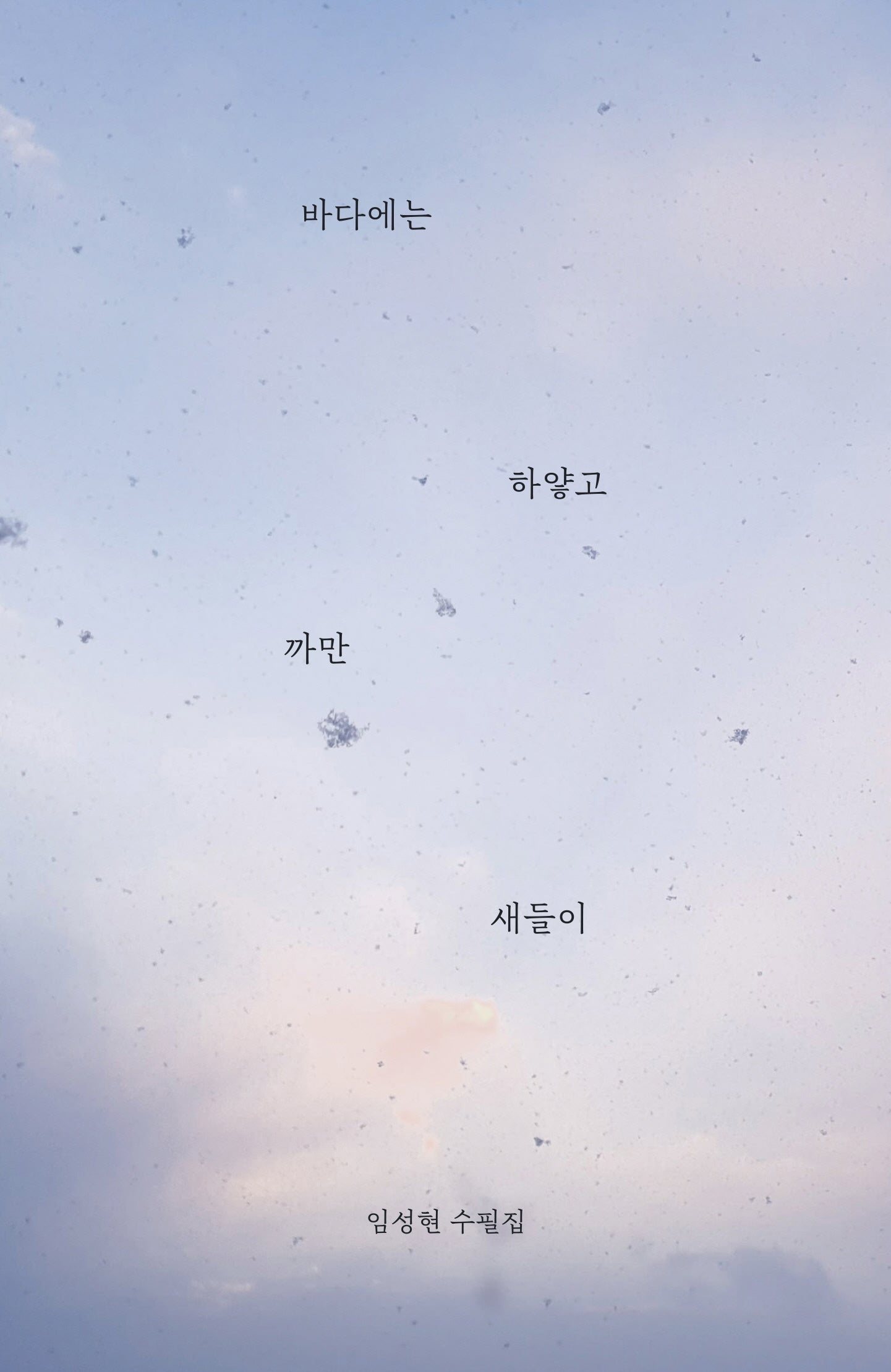 바다에는 하얗고 까만 새들이