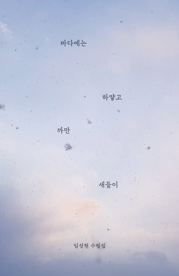 바다에는 하얗고 까만 새들이