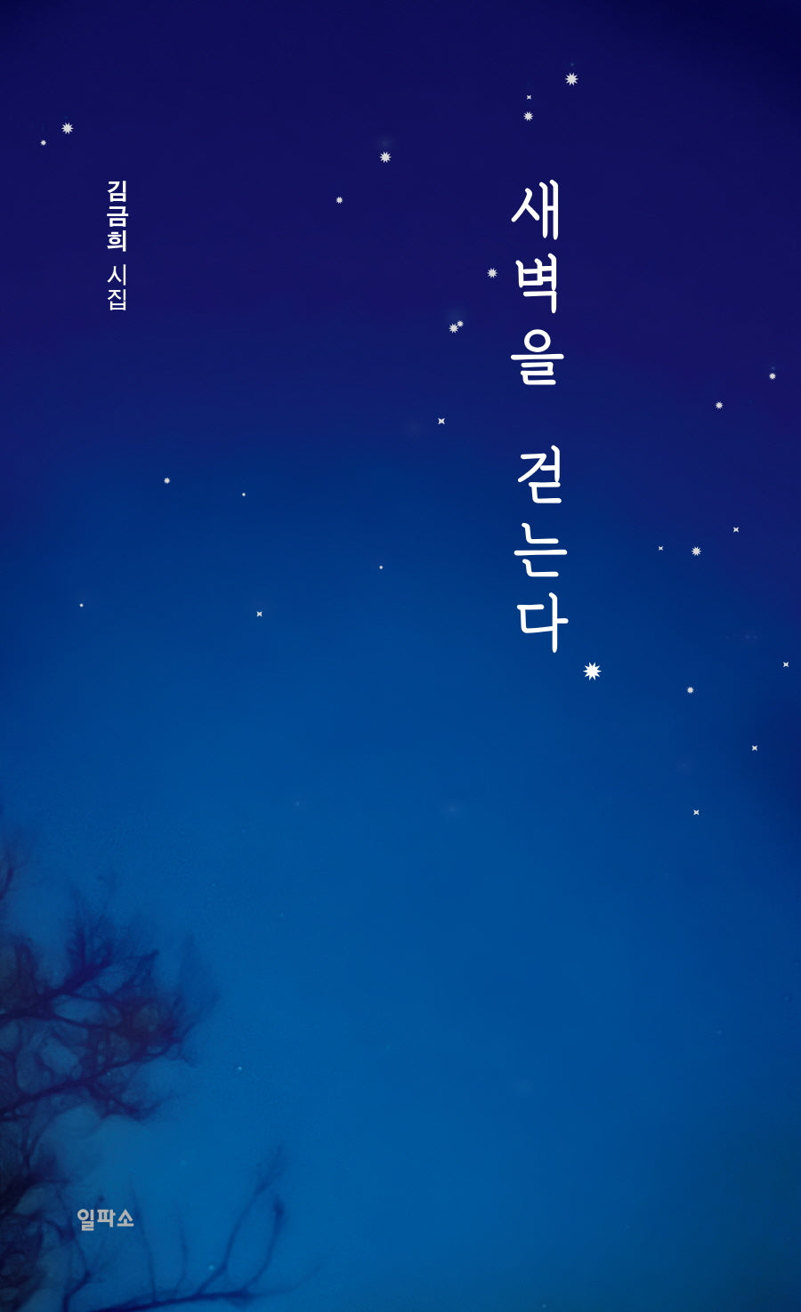 새벽을 걷는다