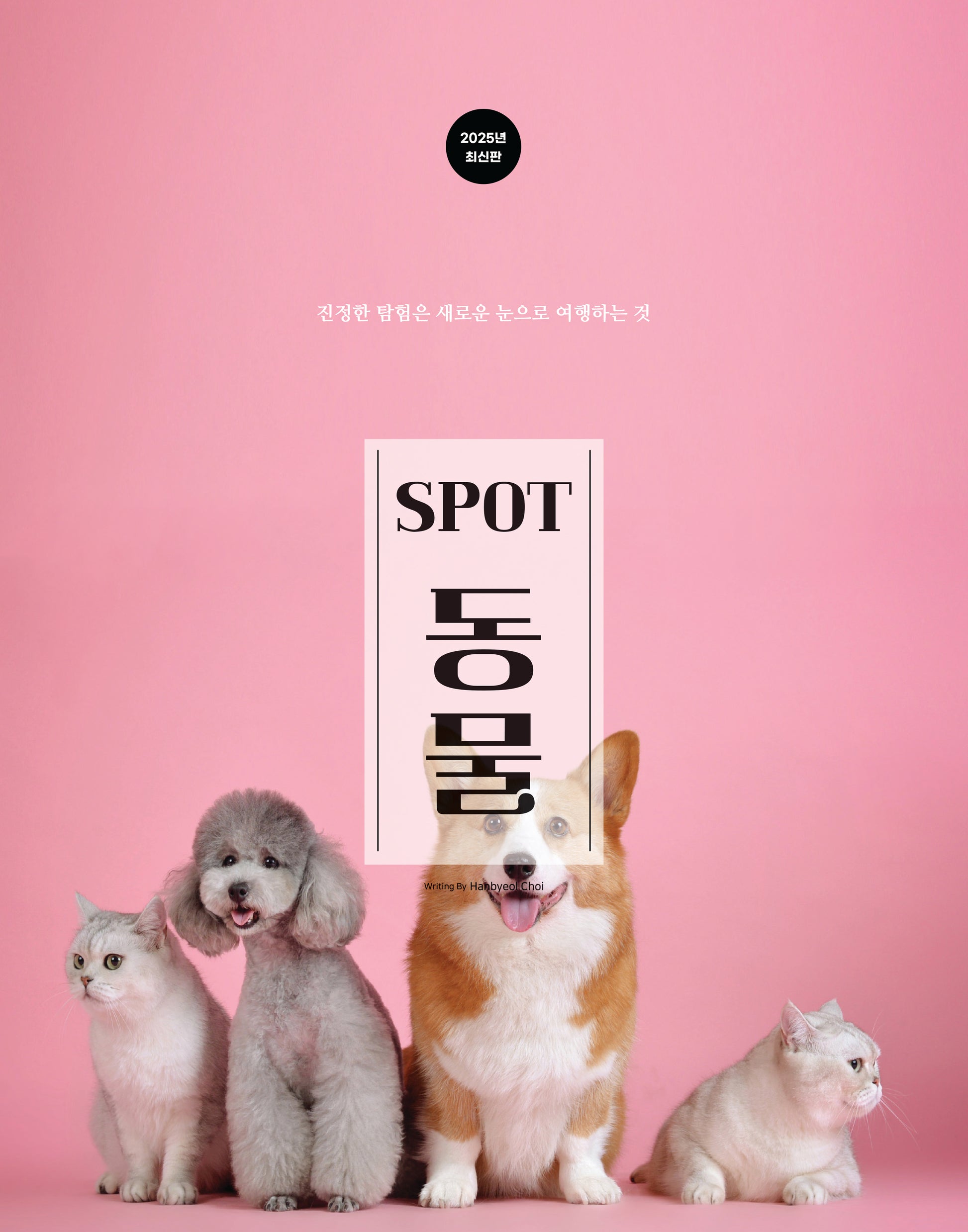 스팟(Spot) 동물
